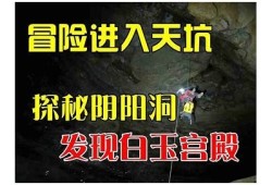 天龙抖阴：揭秘游戏中的隐藏彩蛋与玩法技巧