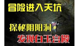 天龙抖阴：揭秘游戏中的隐藏彩蛋与玩法技巧