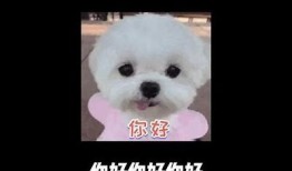 抖音阴兵祝福视频：揭秘神秘祝福背后的故事与传说