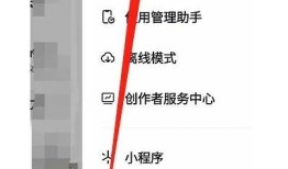 抖音无限刷抖币技巧：轻松获取更多收益的方法