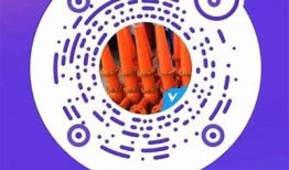 获取抖音TV二维码，轻松分享精彩视频与好友！