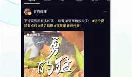 抖音安卓客户端下载：最新版本下载安装指南与使用技巧