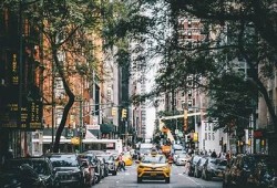 三只草抖阴视频全解析：奇趣草丛中的迷人瞬间