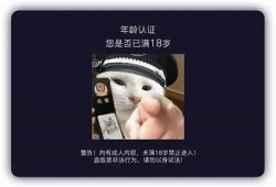 免费下载抖阴APP：享受精彩视频体验，手机必备实践！