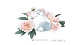 兔子抖阴视频：萌趣动漫带你领略可爱兔子的魅力
