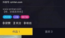 抖音使用技巧与热门内容解析，助你轻松上手赚收益