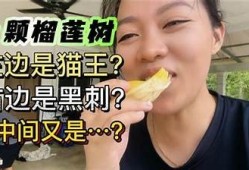 榴莲视频带你探索抖音热门阴霾，揭秘榴莲背后的秘密！