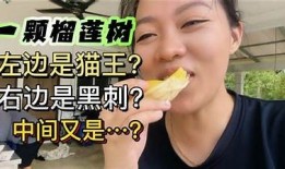 榴莲视频带你探索抖音热门阴霾，揭秘榴莲背后的秘密！