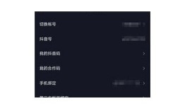 抖音Magnet：如何有效吸引用户关注并提升内容曝光率