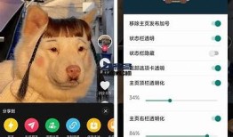 破解抖音运用下载官网，安全高效的短视频分享平台攻略