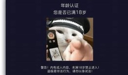 99抖阴大湿：揭秘抖音热门内容背后的真实故事与技巧