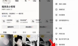 揭秘抖音视频隐藏技巧，教你轻松让视频不被发现！