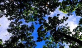 探索抖阴推荐链接：引领潮流的热门内容分享平台