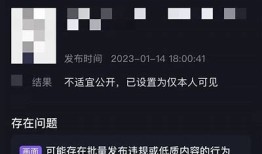 为什么抖音不会被查封？探究其成功背后的动因与影响