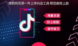 抖阴平台费用解析：了解各类服务及价格区间详解