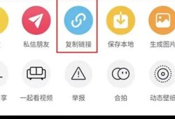抖音破解版app下载：轻松获取无限乐趣与隐私保护！