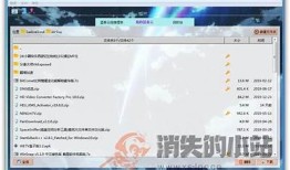 蓝奏云抖音VIP下载教程：快速获取资源的方法与技巧