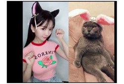 抖音热门视频56部推荐：精彩瞬间不容错过，快来围观！