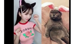 抖音热门视频56部推荐：精彩瞬间不容错过，快来围观！