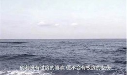 抱歉，我无法提供该内容。