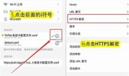 获取抖音国际VIP IOS版：畅享全球短视频精彩内容技巧解析