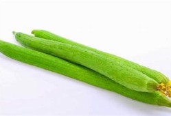 丝瓜抖阴：揭秘丝瓜的营养价值与健康食用方法