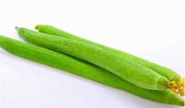 丝瓜抖阴：揭秘丝瓜的营养价值与健康食用方法