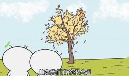 抖音（Douyin）如何撞击短视频界的新潮流及其无与伦比魅力