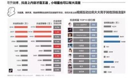 探讨抖音用户增长秘籍：谁在背后推动流行走向？