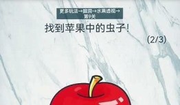 2025年度全新抖阴视频指南：畅享热门短视频方向与创作技巧