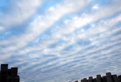 揭密网络新风潮：近似抖阴的热门玩法与影响研究