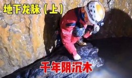 揭秘世界最长抖阴劲记录保持者：他的秘密与技巧。