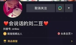 老司机分享抖音短视频技巧，轻松提高视频观看量与点赞量！