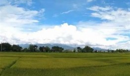 探索阴阳之道：深度解析抖音视频中的哲学奥秘与对比