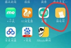猫咪快猫抖阴app：探索猫咪趣味视频，享受快乐时光