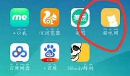 猫咪快猫抖阴app：探索猫咪趣味视频，享受快乐时光