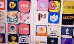 抖音十快手成人版调查：最新玩法与热门内容揭秘