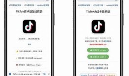 如何成功破解抖阴aqq 1.56版本的详细步骤与技巧