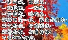 抖阴送秋波：感受秋意浓，传递情感温暖的完美配音！