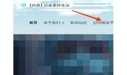 抖音视频作品如何隐藏技巧大揭秘，让你轻松掌控隐私