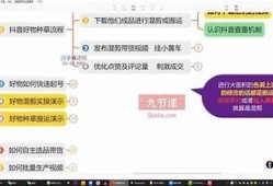 如何在抖音上快速查找海贼王相关内容的方法