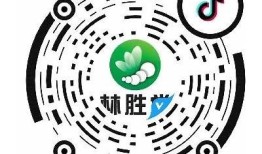 抖音二维码使用指南：轻松分享你的短视频链接