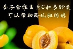 微杏抖阴：探索微杏的独有魅力与实际使用价值