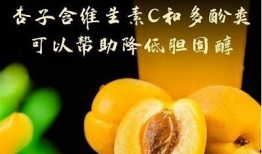 微杏抖阴：探索微杏的独有魅力与实际使用价值
