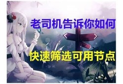 老司机抖阴区一：揭秘老司机的抖阴技巧与聊天互动攻略