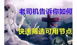 老司机抖阴区一：揭秘老司机的抖阴技巧与聊天互动攻略