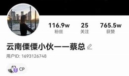 此抖音非彼：揭开短视频平台的真相与走向