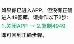 详细教程：抖阴iOS版下载及安装攻略