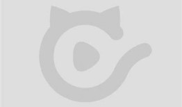 探索抖阴快猫：全新短视频平台的魅力与潜力研究