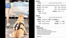 抖音视频下载器：轻松获取高清抖音短视频的最佳网址分享
